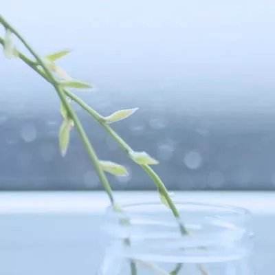 盈彩网app下载截图